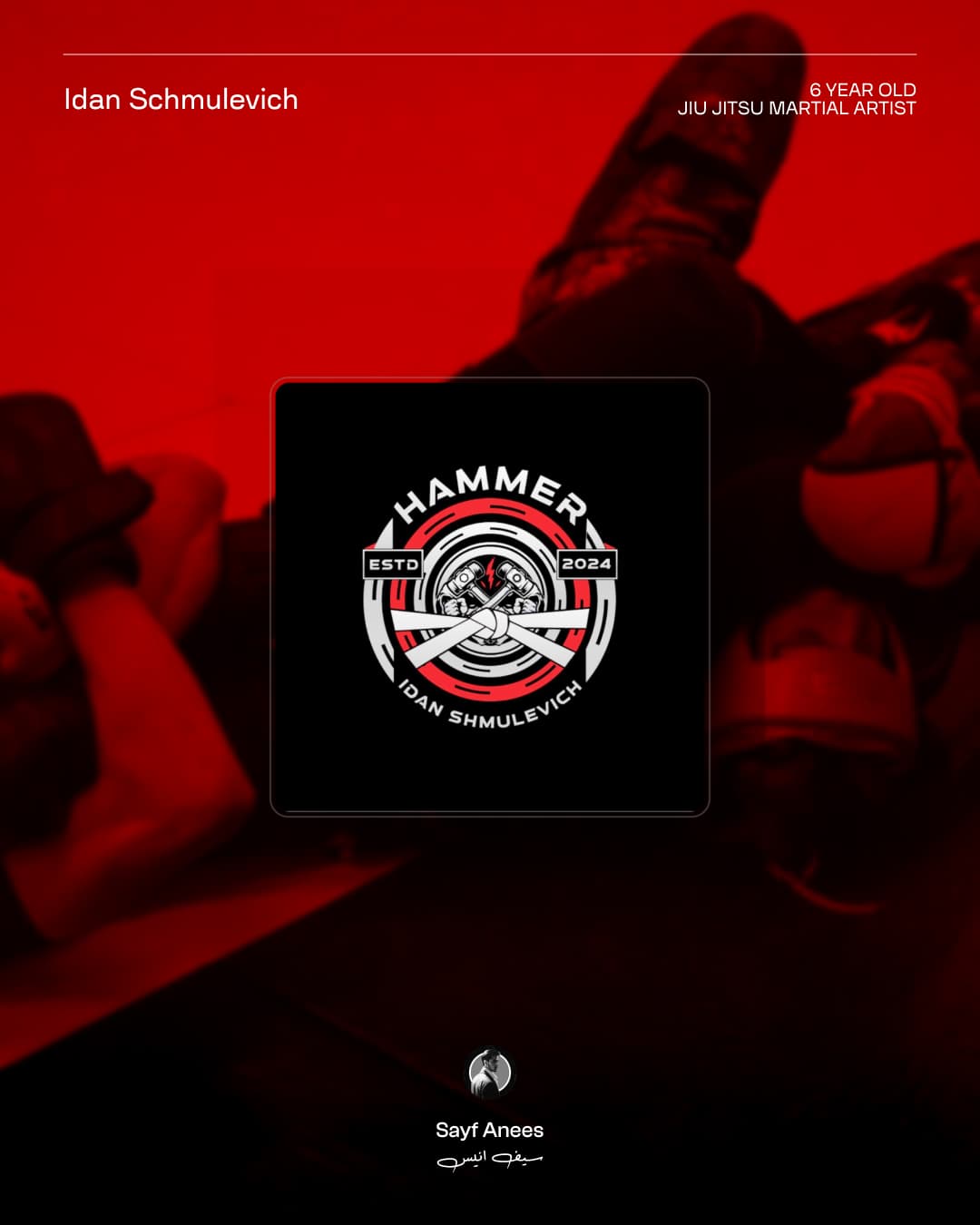 Igal S. BJJ Logo